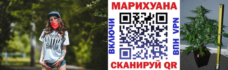 Бошки Шишки план  где найти наркотики  Сосновоборск 